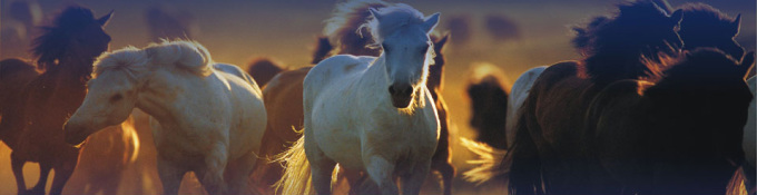 Deze afbeelding heeft een leeg alt-attribuut; de bestandsnaam is achtergrond.jpg